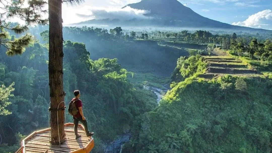 Yogyakarta Nature Tours: Discover the Wild Side of Java