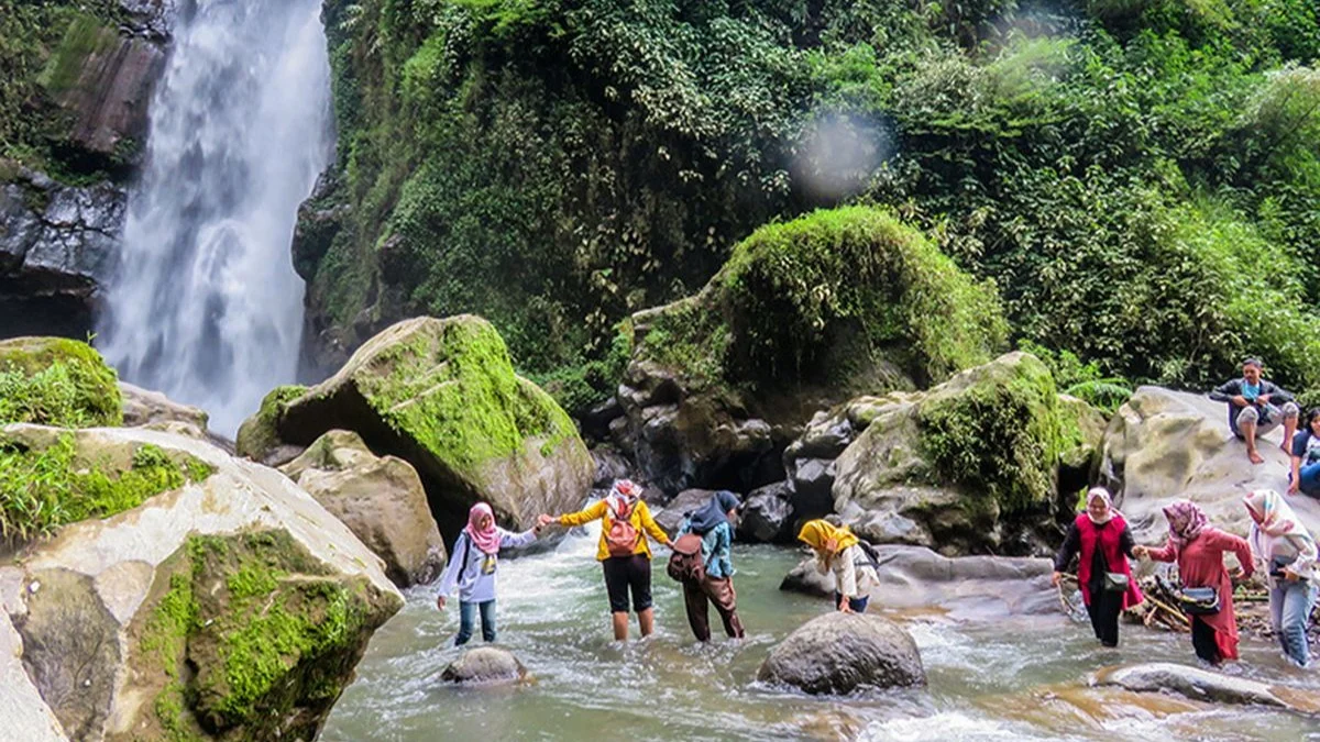 セログリヨの伝統的な棚田トレッキングと隠れた滝の探索