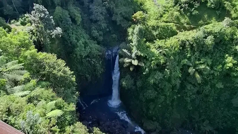 セログリヨの伝統的な棚田トレッキングと隠れた滝の探索 - Image 5