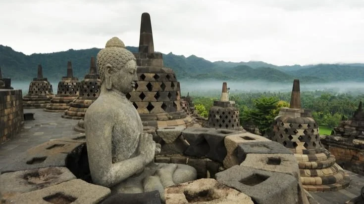 Excursión privada a Selogriyo Rice Terrace Trek y al templo de Borobudur con acceso a subida - Image 5