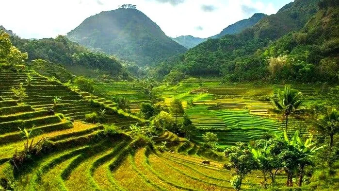 Trek Teras Sawah Kuil Selogriyo dan Tur Desa Nepal Van Java