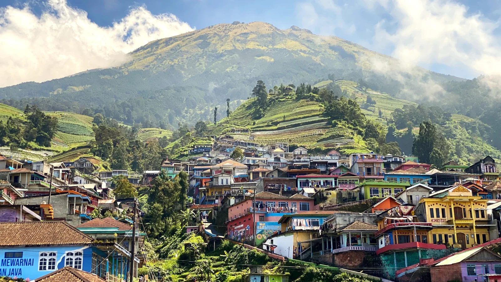 Trek Teras Sawah Kuil Selogriyo dan Tur Desa Nepal Van Java