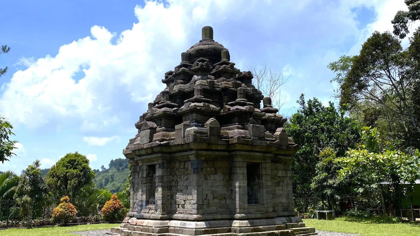 Excursión privada a Selogriyo Rice Terrace Trek y al templo de Borobudur con acceso a subida - Image 8