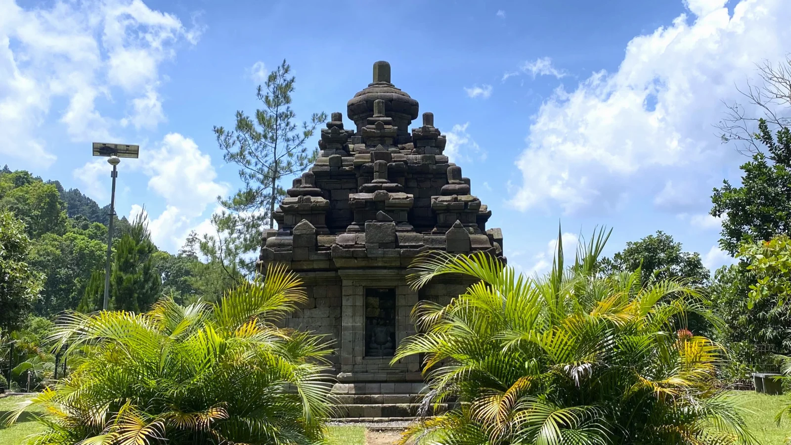 Selogriyo Temple and Rice Terraces Trekking Guided Tour - Image 8