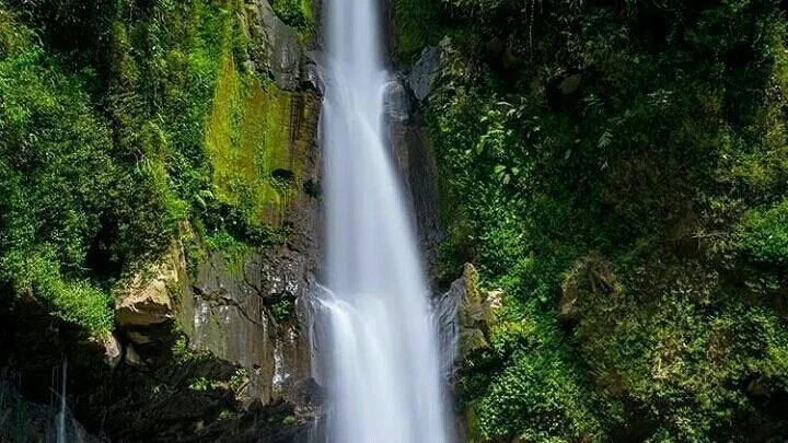 Yogyakarta Borobudur and Prambanan Temple 2 Days Private Tour Package - Image 6