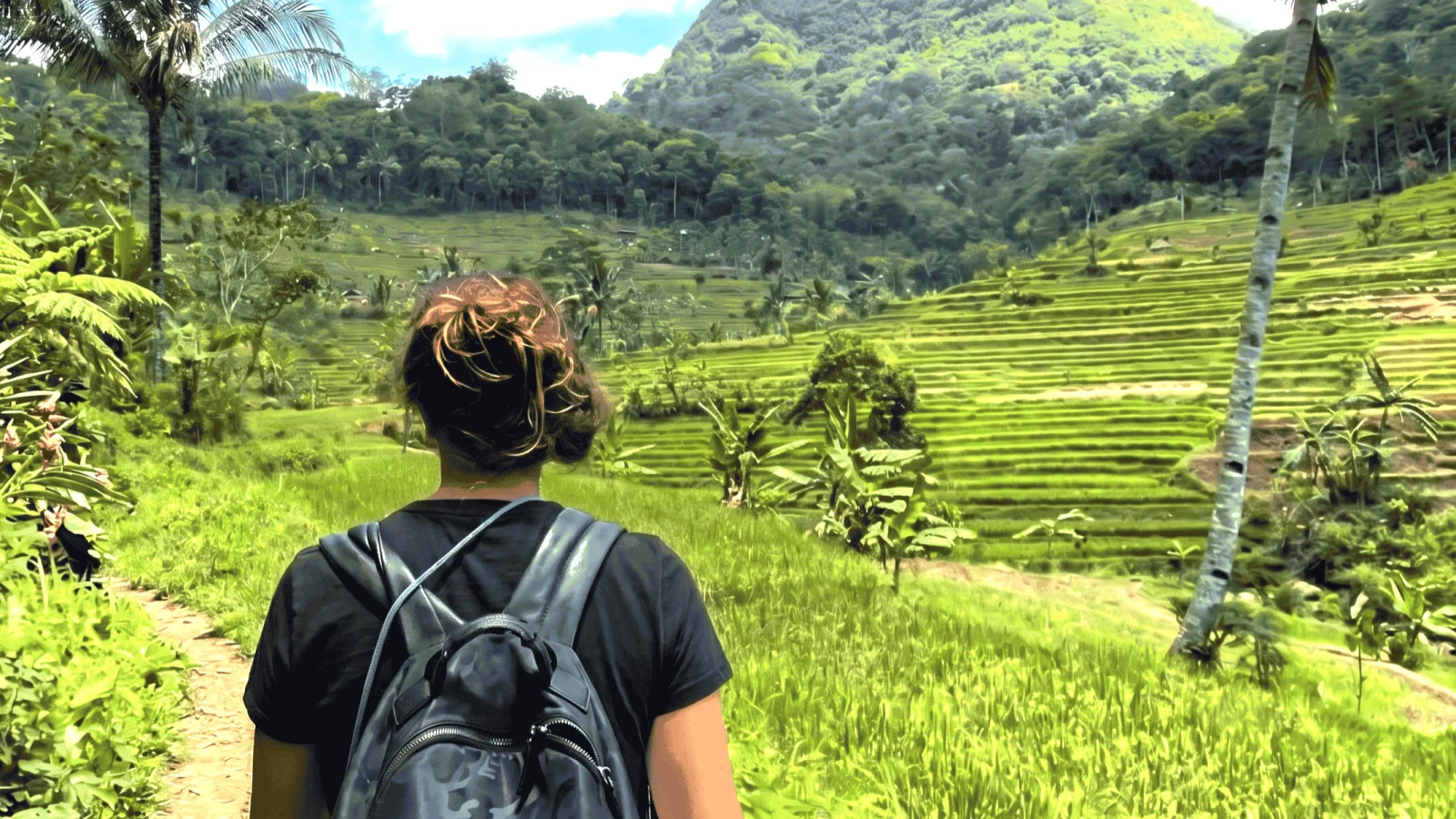 Paseo por la naturaleza en la terraza de arroz del templo Selogriyo y recorrido en jeep por el monte Merapi