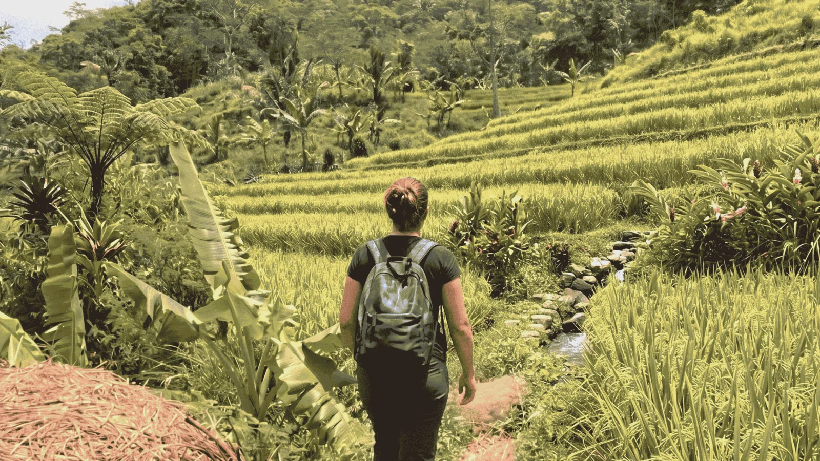 セログリヨの伝統的な棚田トレッキングと隠れた滝の探索