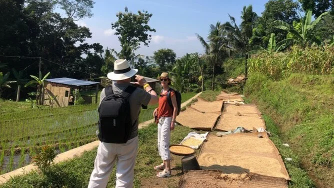 Pengalaman Trekking Teras Sawah Jawa dengan Pemandu