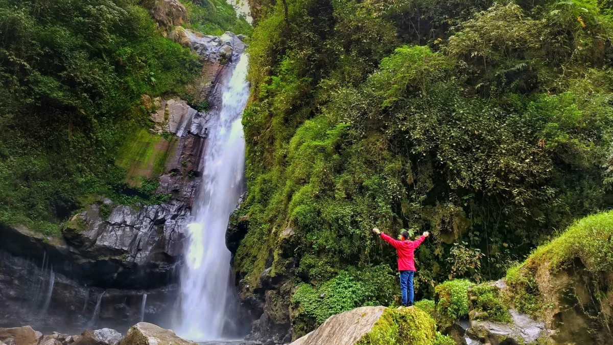 隠れた滝の自然探検